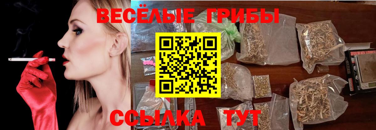 Галлюциногенные грибы Cubensis Краснознаменск